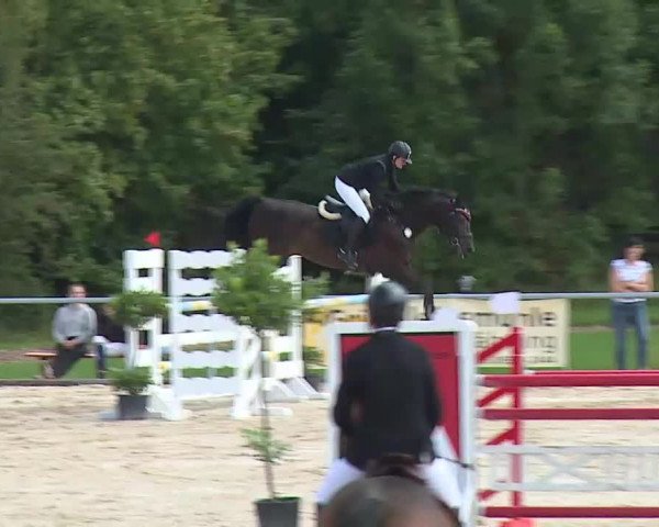 Reitturnier Ansbach/Mfr. 2020