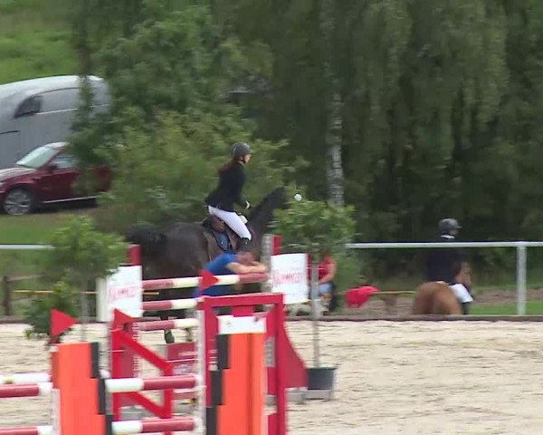 Reitturnier Ansbach/Mfr. 2020