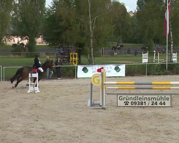 Reitturnier Ansbach/Mfr. 2020