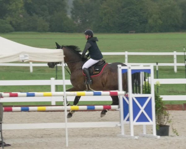 Reitturnier Öpfingen 2020