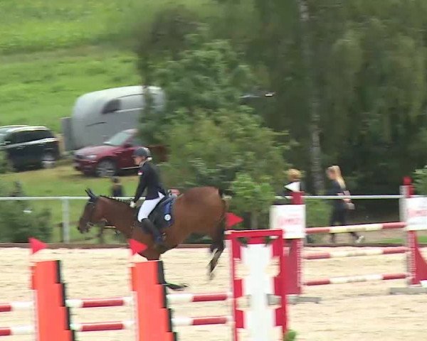 Reitturnier Ansbach/Mfr. 2020