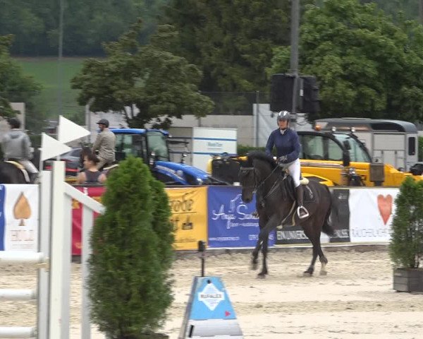 Reitturnier Balsthal 2020