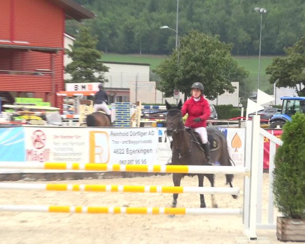 Reitturnier Balsthal 2020