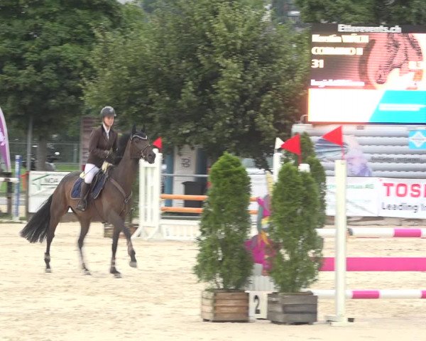Reitturnier Balsthal 2020