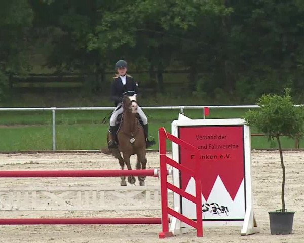 Reitturnier Ansbach/Mfr. 2020