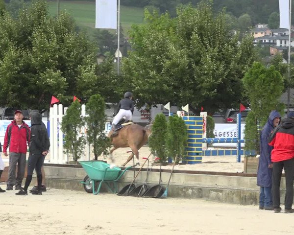 Reitturnier Balsthal 2020