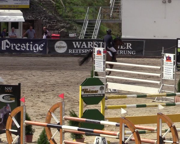 Reitturnier Siegen 2020