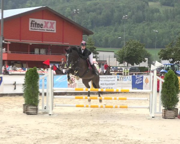 Reitturnier Balsthal 2020