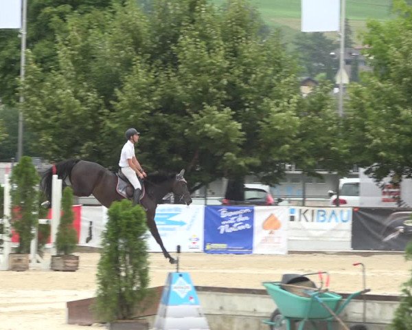 Reitturnier Balsthal 2020