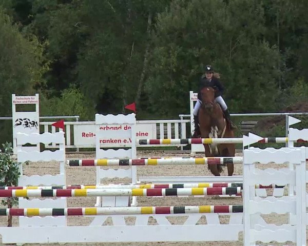 Reitturnier Ansbach/Mfr. 2020