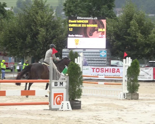 Reitturnier Balsthal 2020