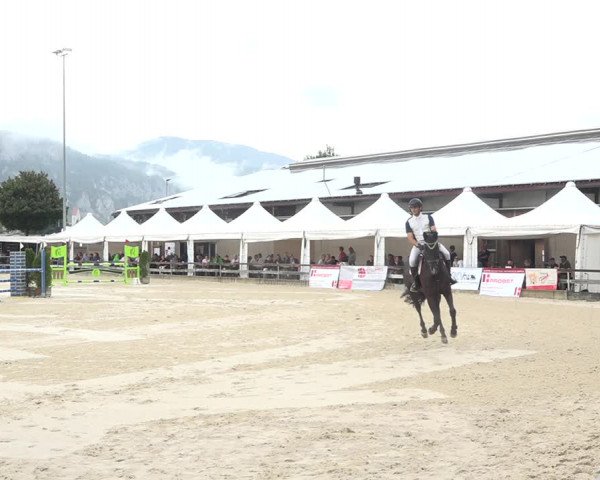 Reitturnier Balsthal 2020