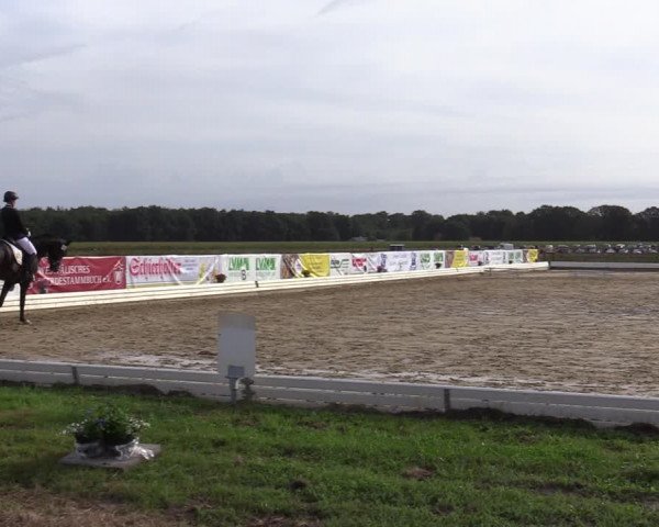 Reitturnier Ostbevern 2020