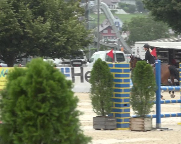 Reitturnier Balsthal 2020