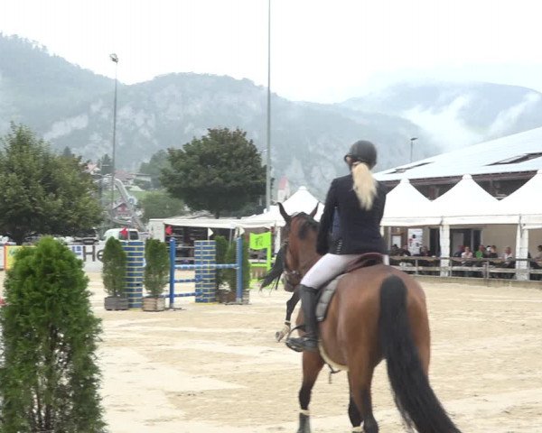Reitturnier Balsthal 2020