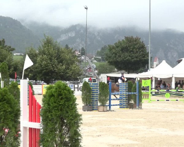 Reitturnier Balsthal 2020
