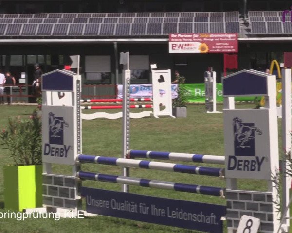 Reitturnier Heiden 2020