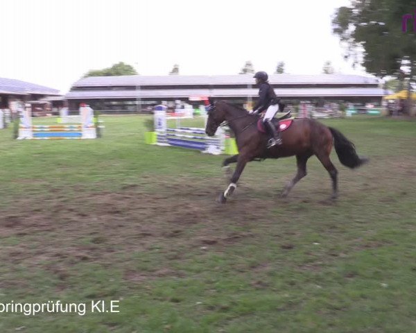 Reitturnier Heiden 2020