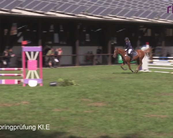 Reitturnier Heiden 2020