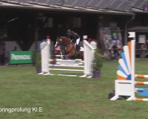 Reitturnier Heiden 2020