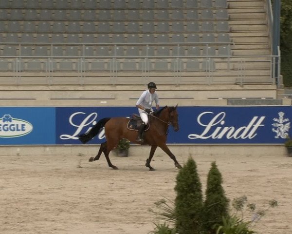 Reitturnier Aachen 2020