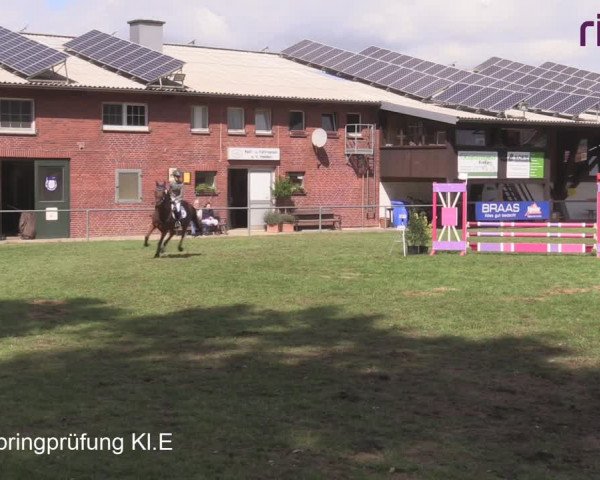 Reitturnier Heiden 2020