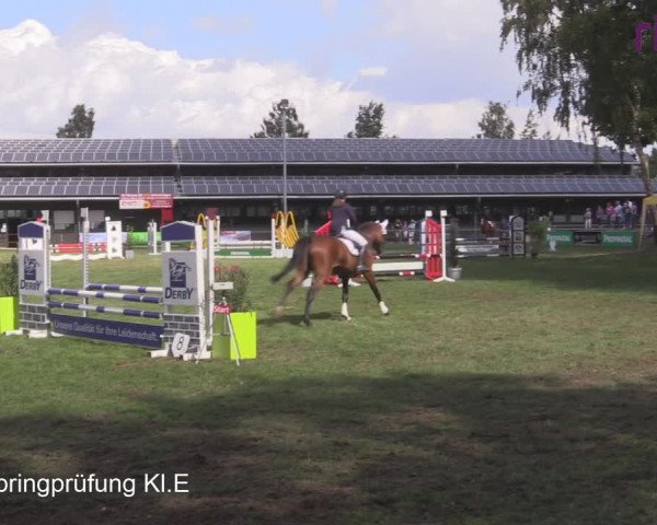 Reitturnier Heiden 2020