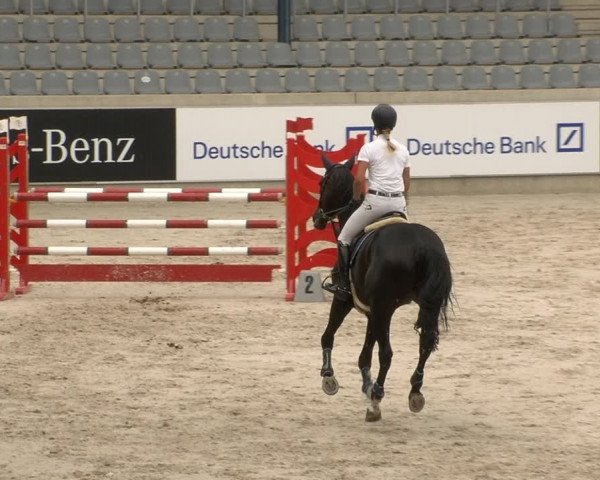 Reitturnier Aachen 2020