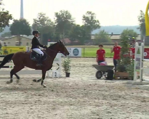 Süddeutsche Ponymeisterschaften Rot am See- Musdorf 2021