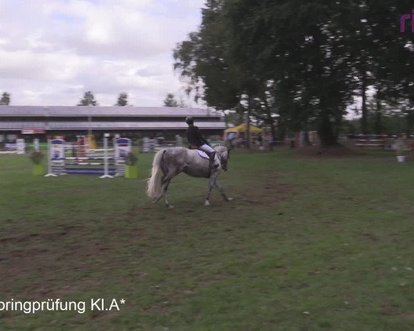 Reitturnier Heiden 2020