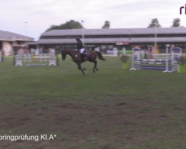 Reitturnier Heiden 2020