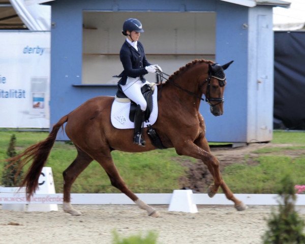 Dressurpferd Balagan (Westfale, 2017, von Borsalino)
