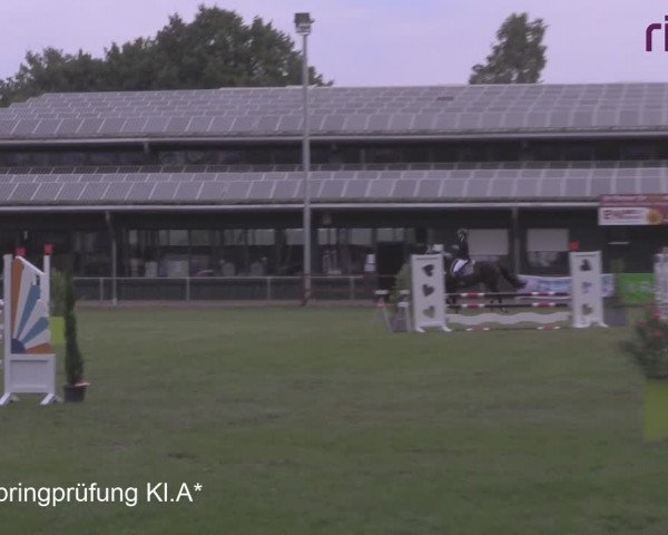 Reitturnier Heiden 2020