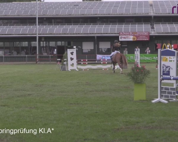 Reitturnier Heiden 2020