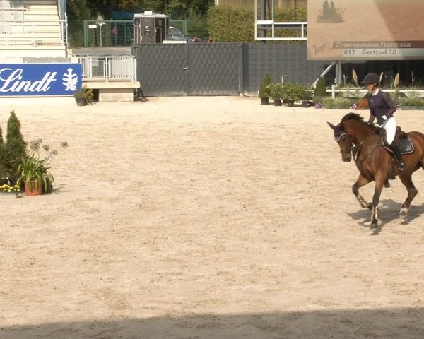Reitturnier Aachen 2020