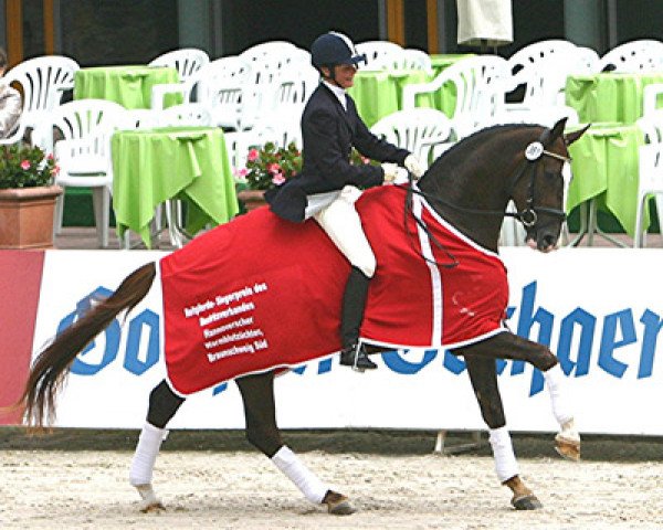 horse Scarastro (Hanoverian, 2006, from San Remo)