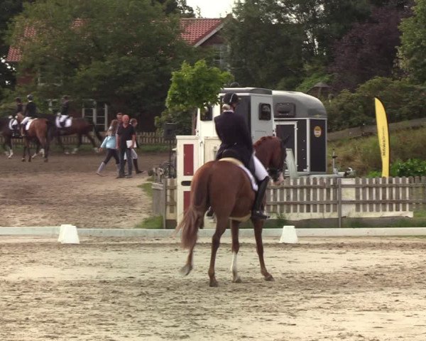 Reitturnier Schülp / Rendsburg 2020