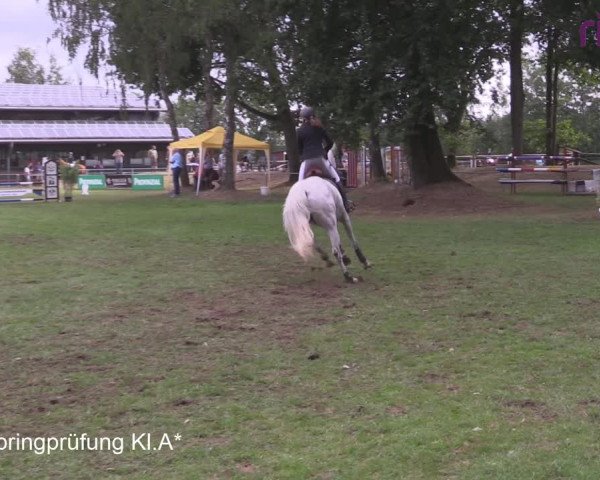 Reitturnier Heiden 2020