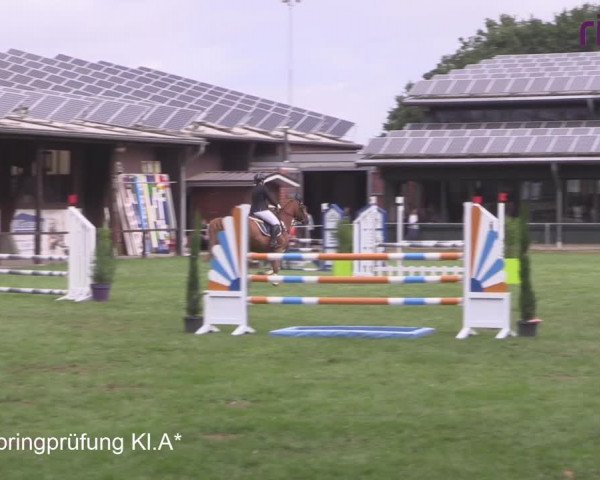 Reitturnier Heiden 2020