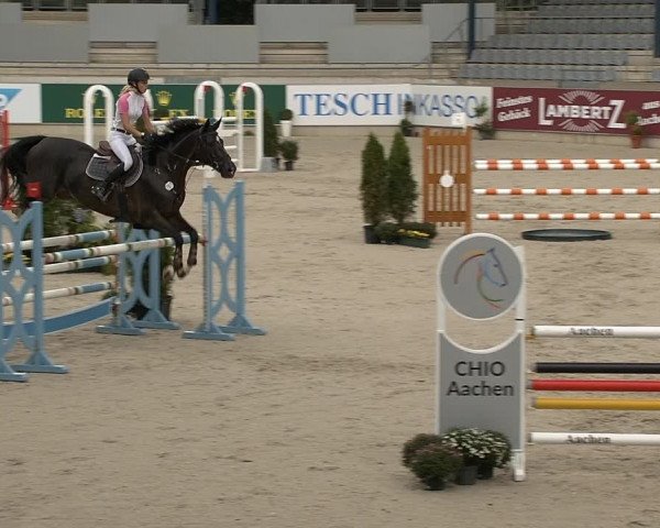 Reitturnier Aachen 2020