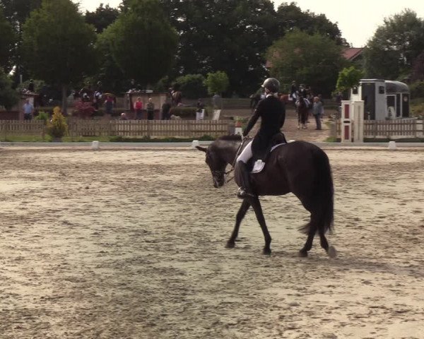 Reitturnier Schülp / Rendsburg 2020
