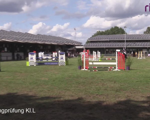 Reitturnier Heiden 2020
