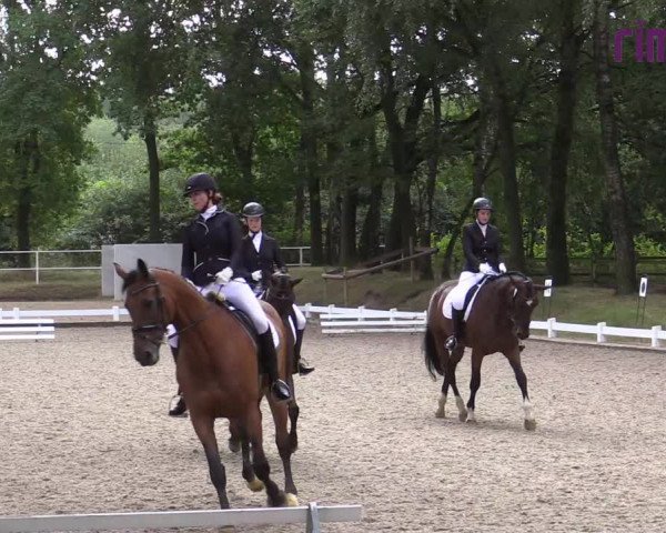 Reitturnier Heiden 2020