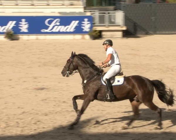 Reitturnier Aachen 2020