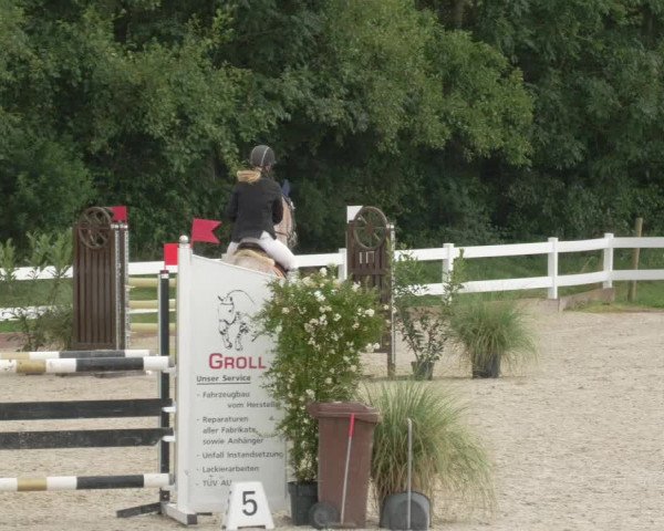 Reitturnier Öpfingen 2020