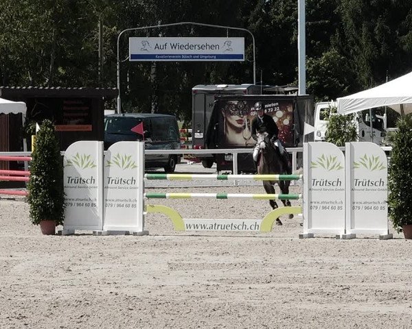 Pferdesporttage Bülach 2021