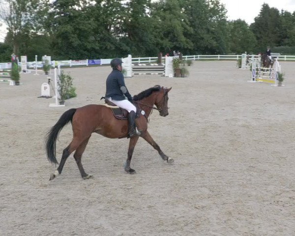 Reitturnier Öpfingen 2020