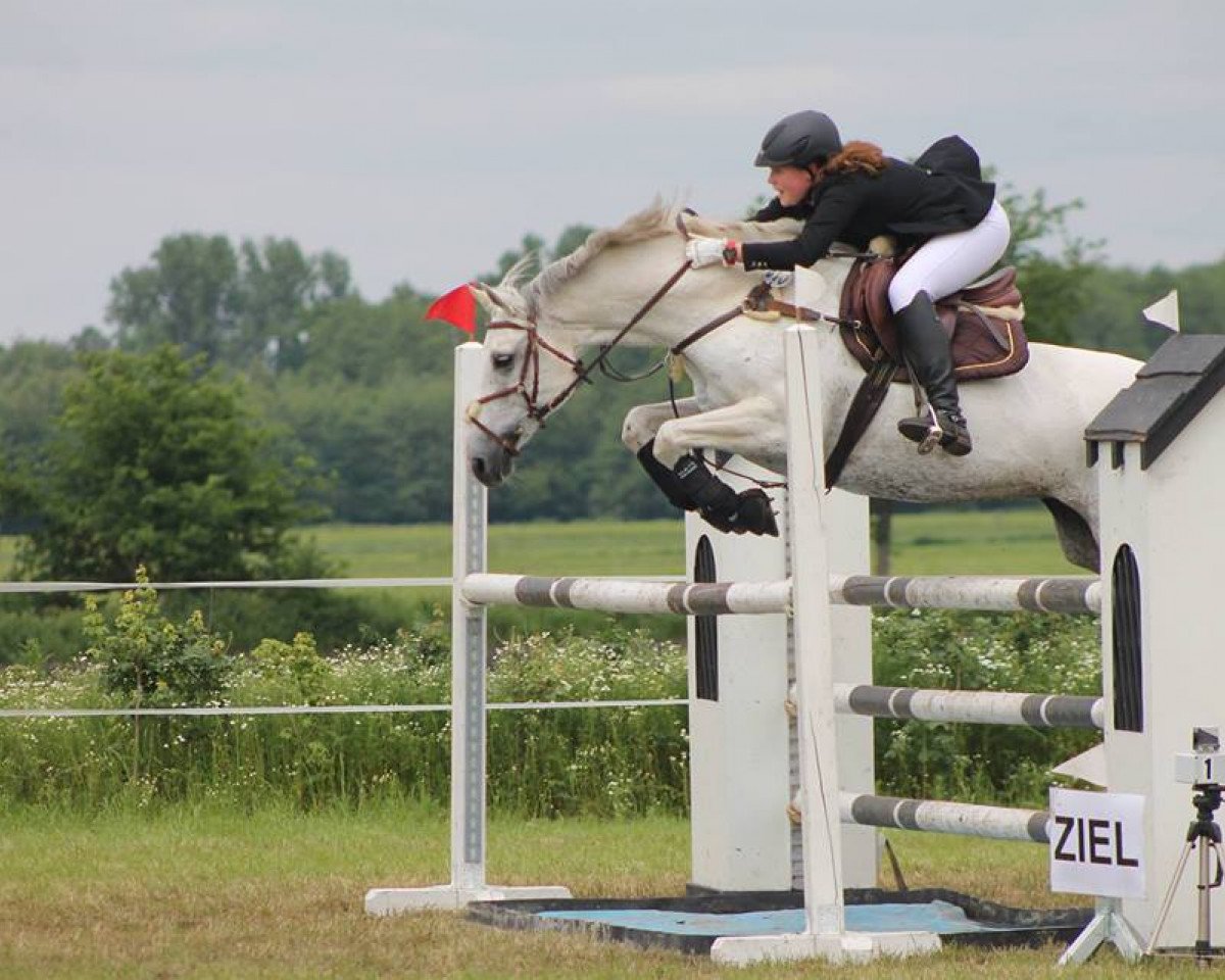 Jumper Ally Mc Beal (Oldenburger, 1998, from Laurion)