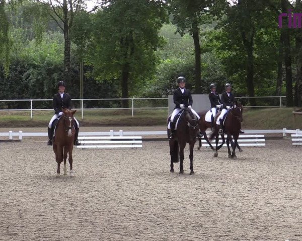 Reitturnier Heiden 2020