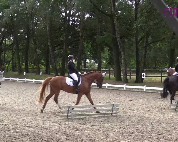 Reitturnier Heiden 2020